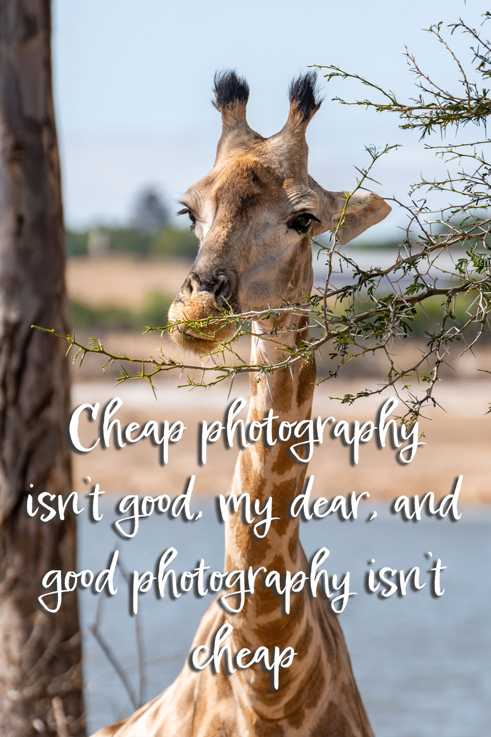 Funny Photography Quotes