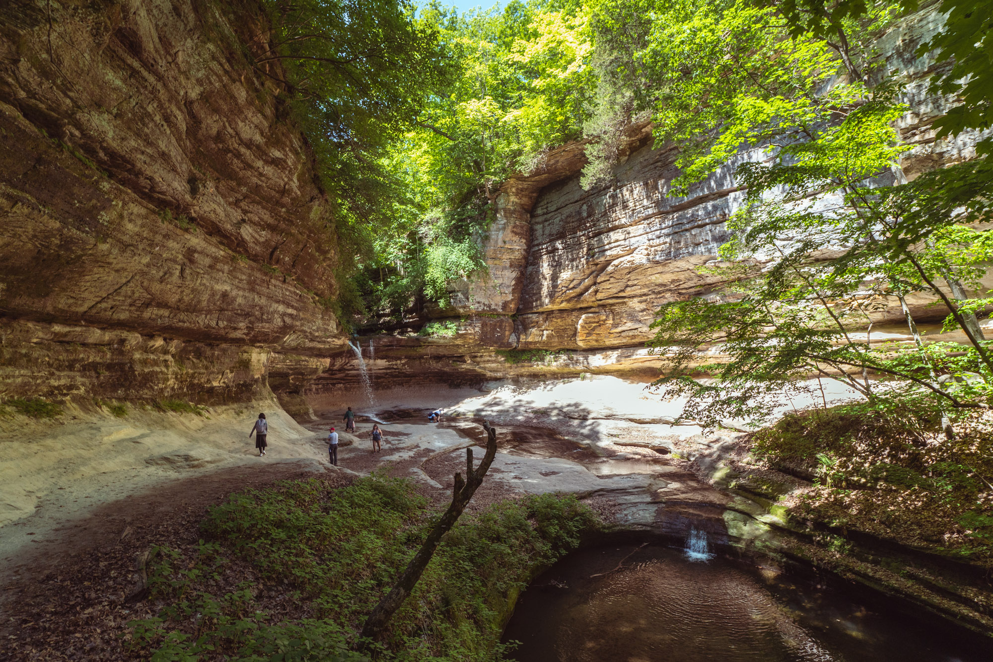 One Day Trip from Chicago | Starved Rock State Park