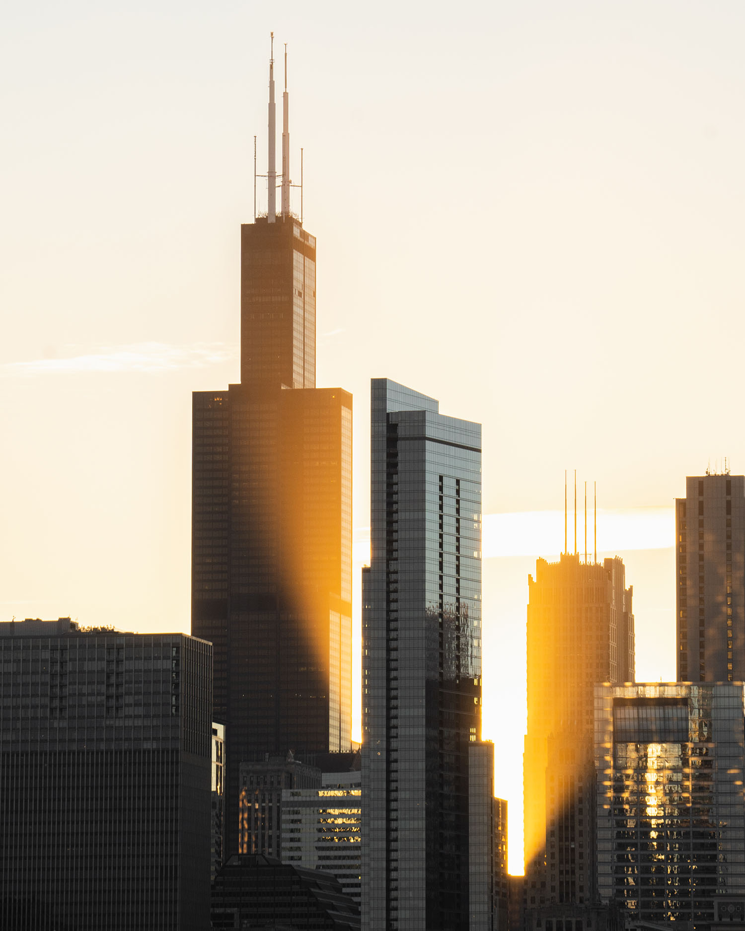 Willis Tower - Chicago Places to visit