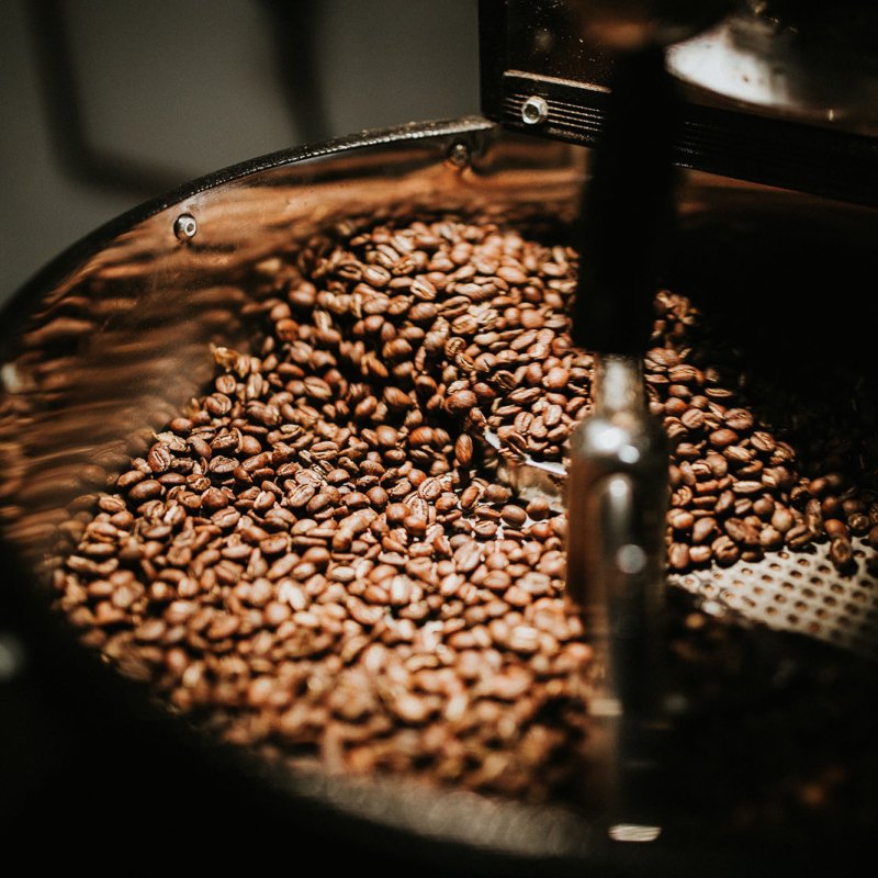 Arabica vs. Robusta