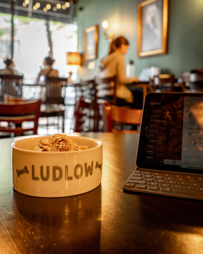 Ludlow Charlingtons Coffee Shop