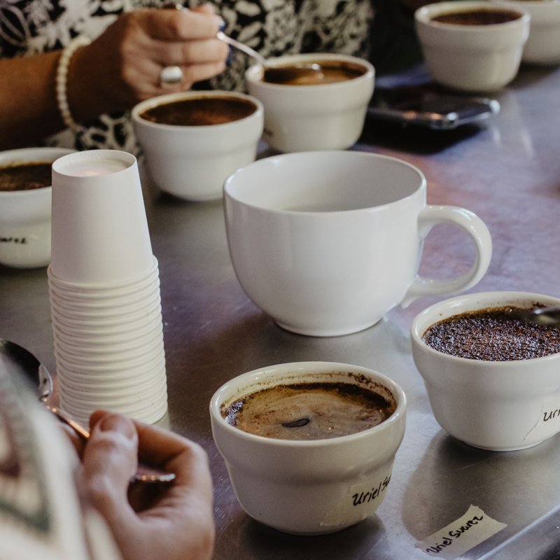What is Coffee Cupping