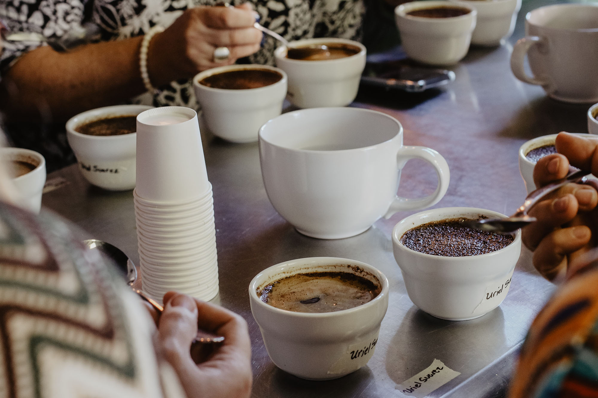 What is Coffee Cupping