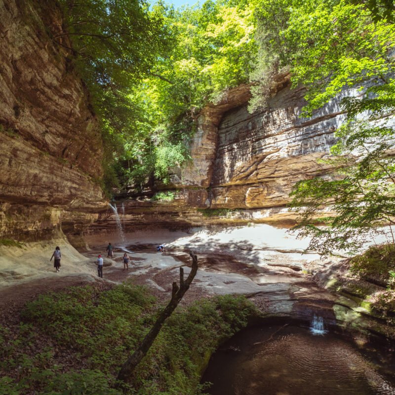 One Day Trip from Chicago | Starved Rock State Park