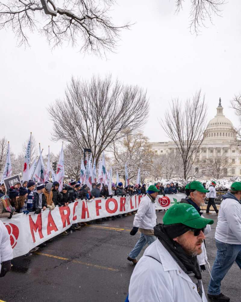 March For Life 2024-39