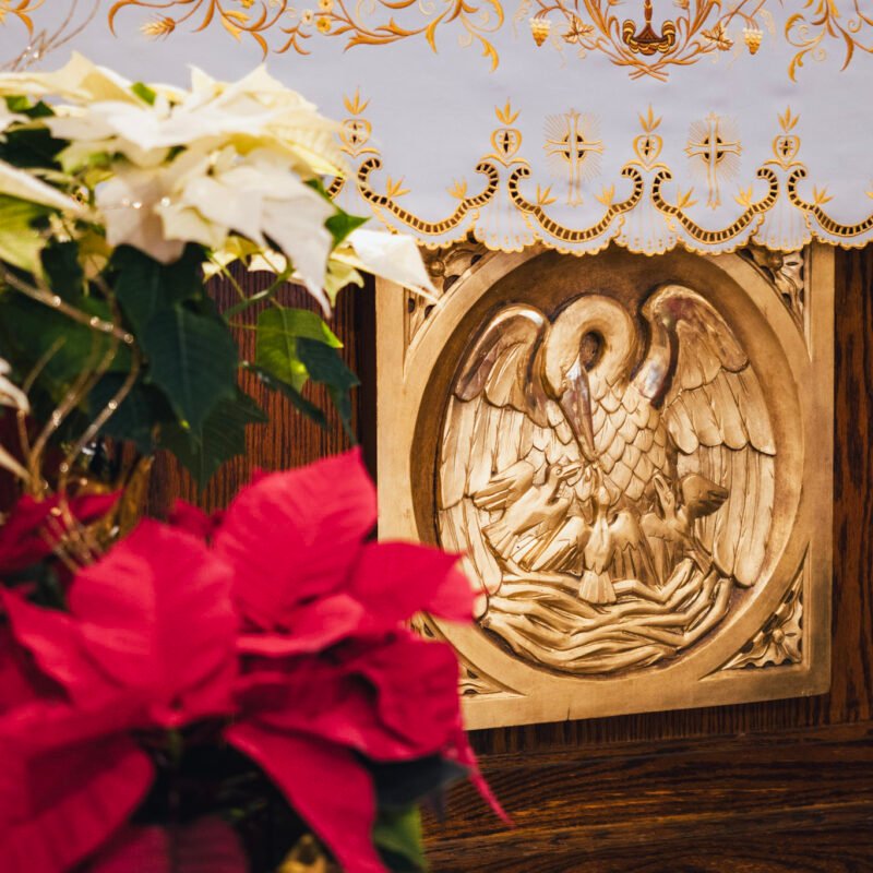Pelican Symbolism in Christianity